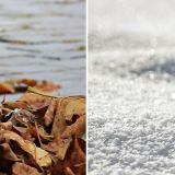 Bild Nebeneinanderstellung Herbstlaub Winterschnee